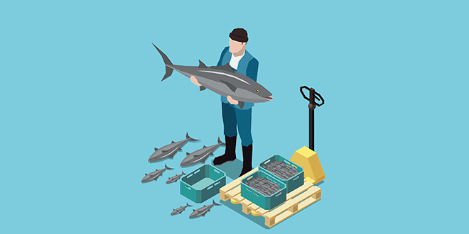 水産仲買人と魚